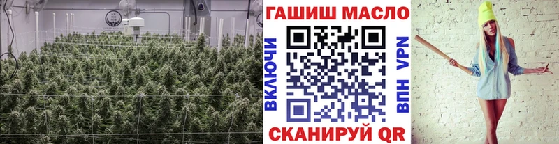 ТГК THC oil  Бердск 