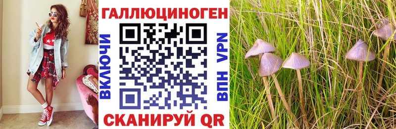 Галлюциногенные грибы Cubensis купить наркотики цена Бердск