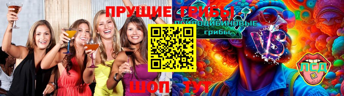 Галлюциногенные грибы Psilocybe Бердск