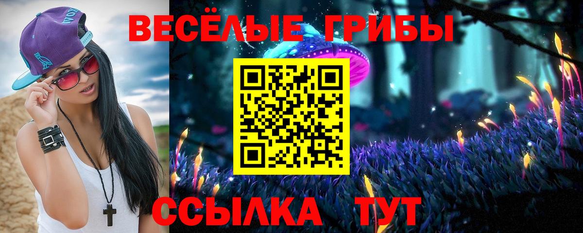 Галлюциногенные грибы прущие грибы  Вход с VPN  Бердск 