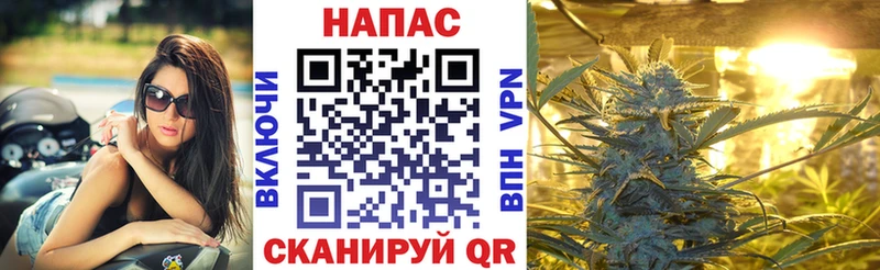 где продают Бердск Конопля ГИДРОПОН